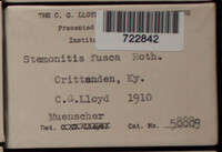 Image Associated With the Occurence